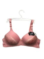 The Lace Plunge Bra