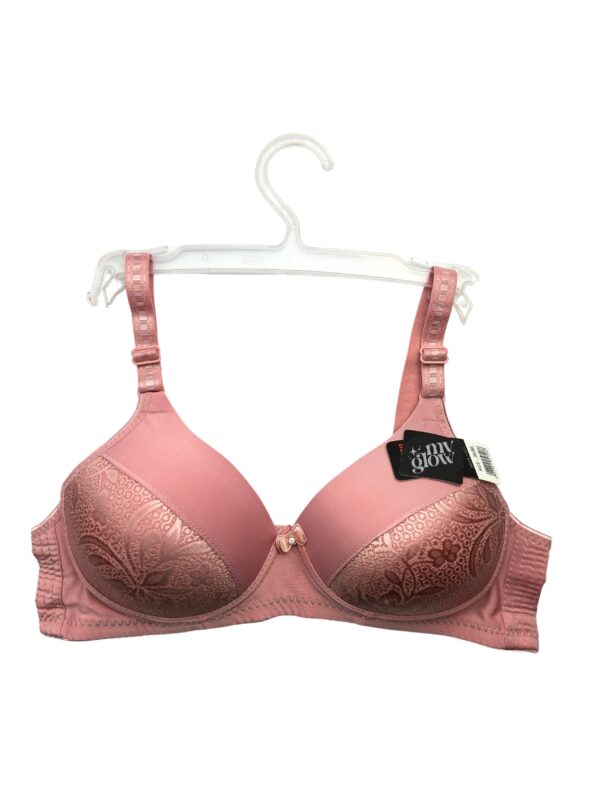The Lace Plunge Bra